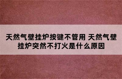 天然气壁挂炉按键不管用 天然气壁挂炉突然不打火是什么原因